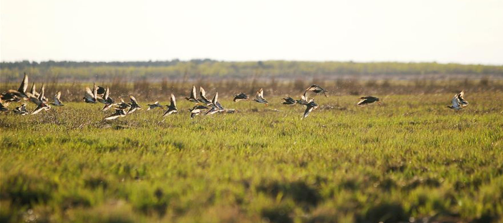 我国*鱼岛钓**有多大，现在是否还有人居住？有什么重要的战略意义？
