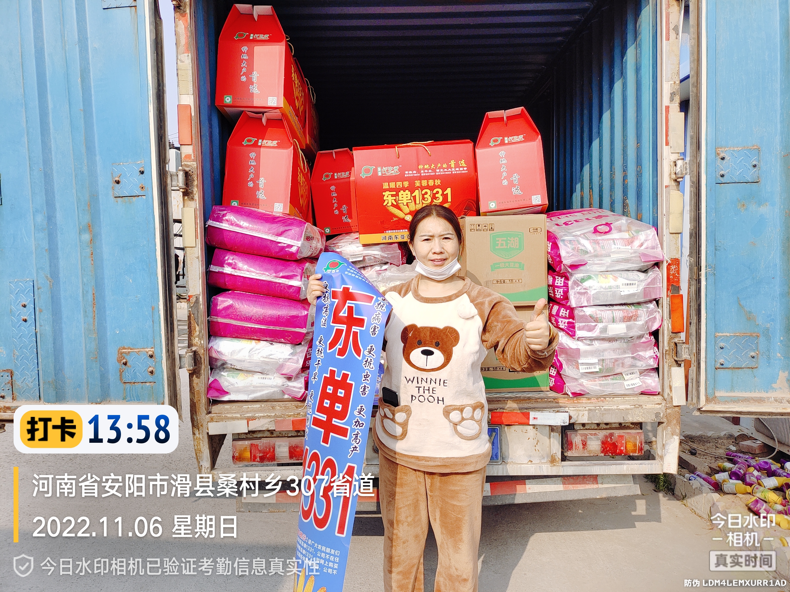 下屯卖玉米种子的怎么分出真假,玉米种子东单1331怎么样辨真假