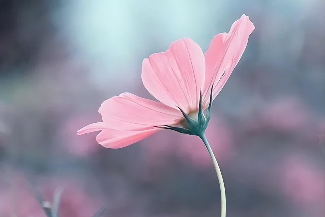 亲戚之间有哪些事是必须随礼的,记住再好的关系也不要有钱财往来