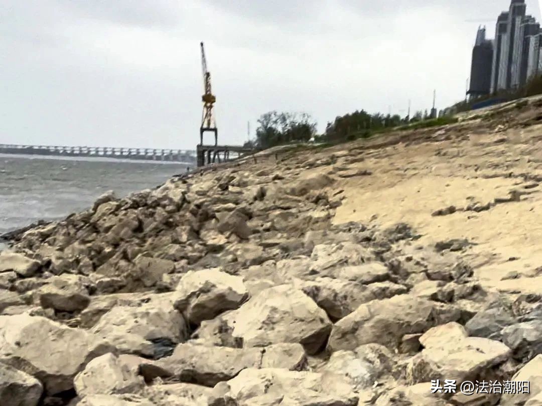 女研究生为救轻生者胳膊被咬淤青,研究生救轻生女子