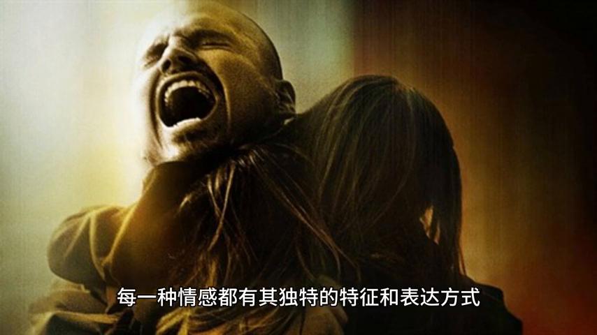 人类的情感需求,人类的情感艺术