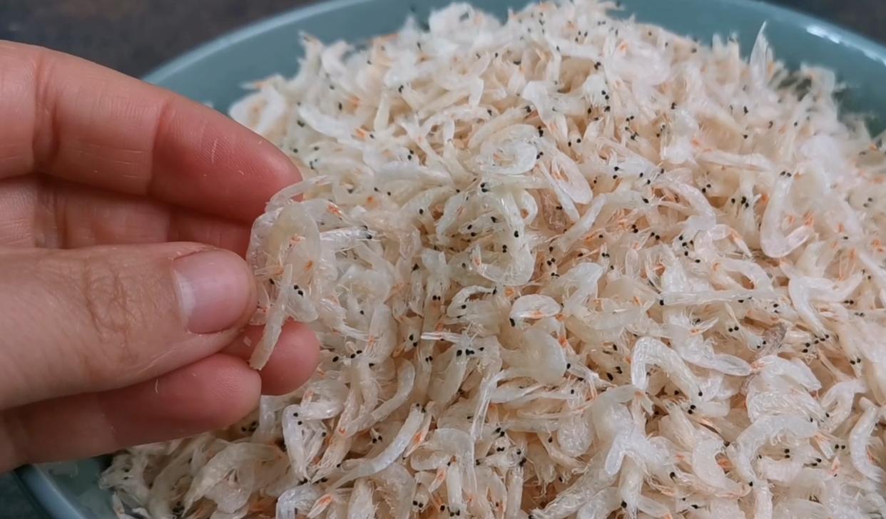 吃虾皮真的能补钙吗,吃虾皮能补钙吗有哪些科学依据