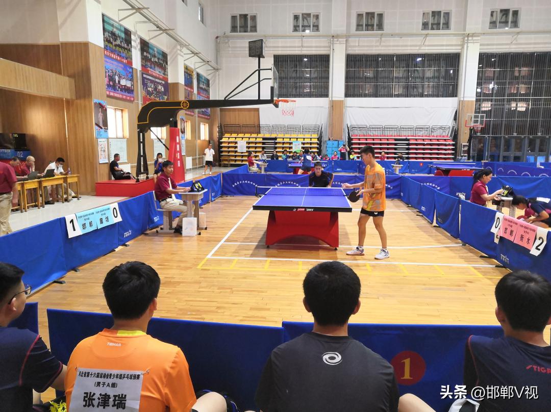 全国乒乓球锦标赛战况河北,河北省第十六届运动会竞赛安排