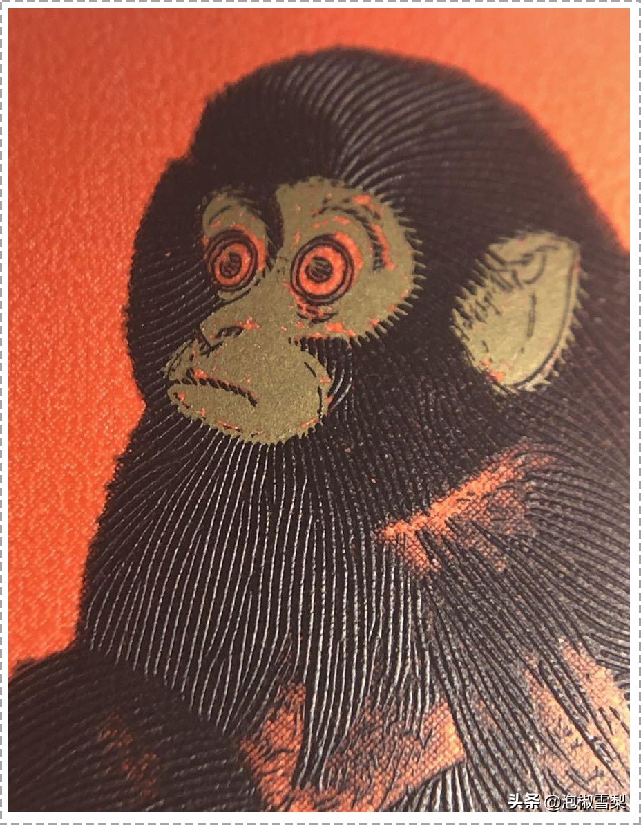 怎么识别1980年猴王邮票的真与假,2016猴邮票怎么看真假