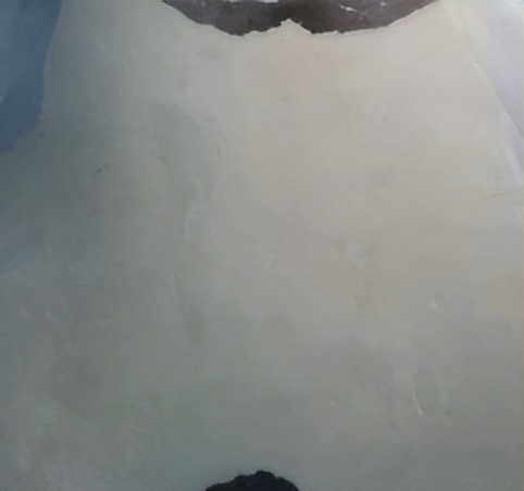 巴马香猪猪皮在外用制剂透皮给药实验中的应用