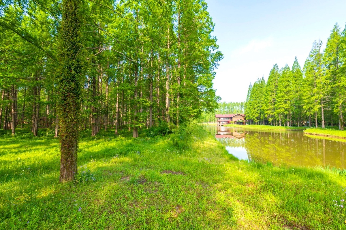 《新闻联播》点赞！国庆假期前两天，央视多个栏目连续聚焦盐城