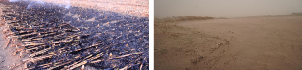 保护黑土地端牢中国饭碗,中央对东北黑土的政策