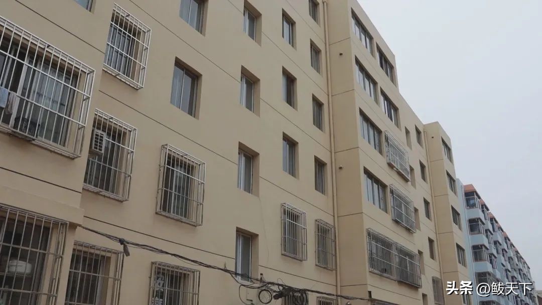 鲅鱼圈惠民工程,鲅鱼圈2018年惠民实事