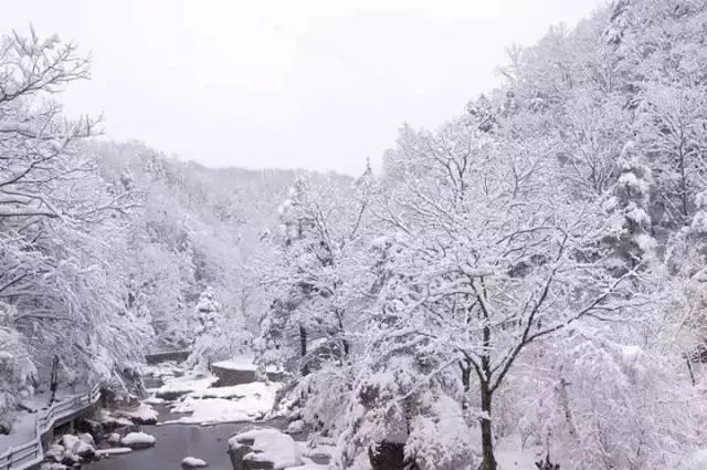 雪满山云淡日光寒,晨起开门雪满山雪晴云淡日光寒