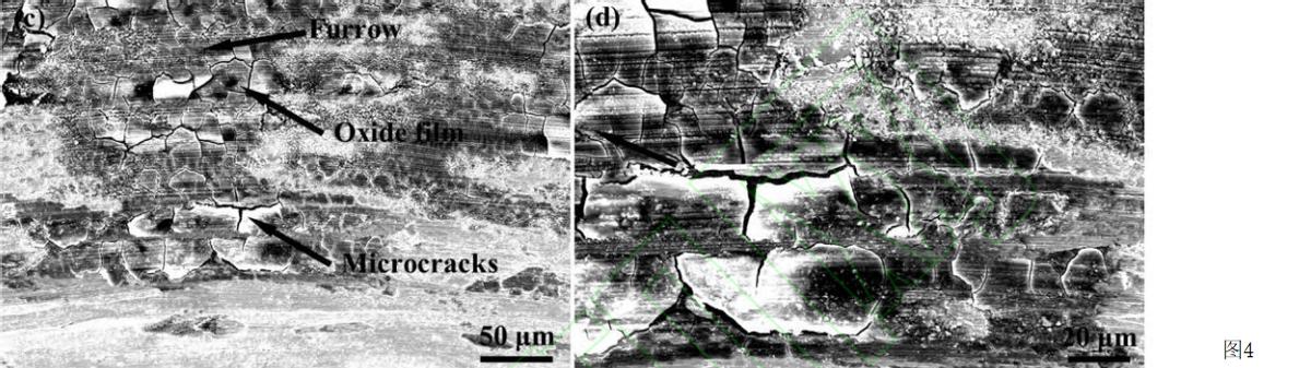 钛合金晶粒尺寸与强度关系,晶粒大小对金属材料高温力学性能