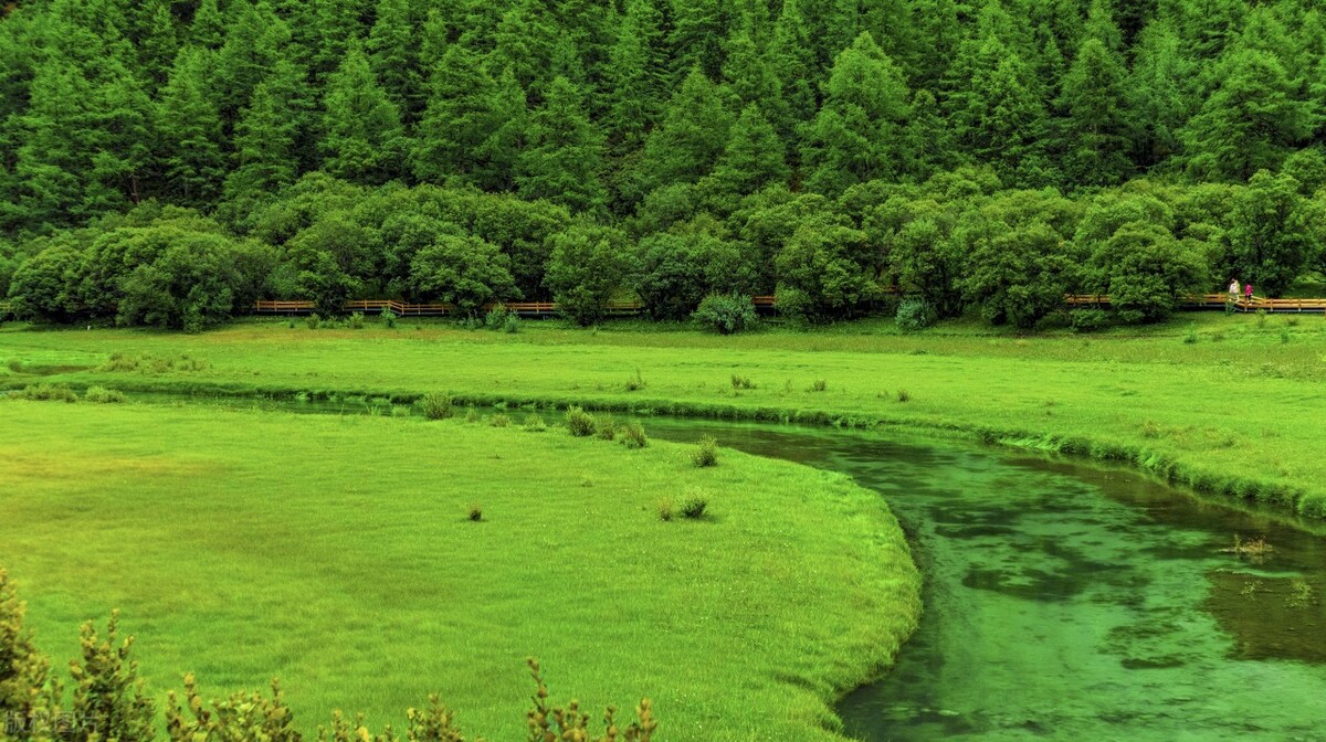 成都包车到西藏有多少公里,成都包车去拉萨多少钱