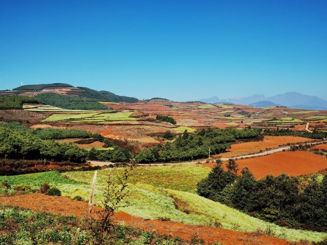 云南旅游攻略昆明旅游攻略,云南昆明旅游攻略