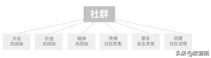 欧赛斯经典案例研究-阿那亚的用户运营模型