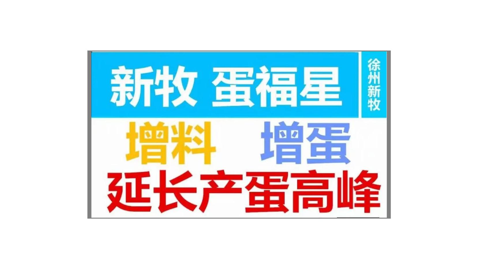 鸭湿毛怎么处理,蛋鸭换毛需要怎么处理