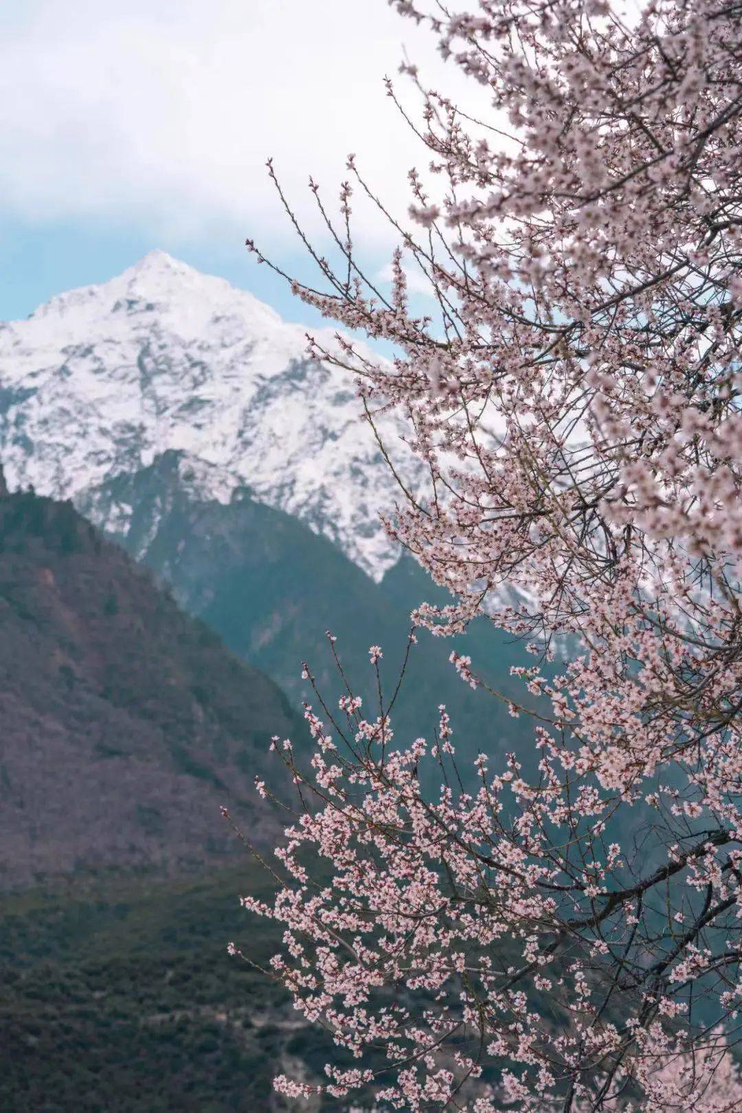 雪山下的某个小镇,雪山下的梦幻球场