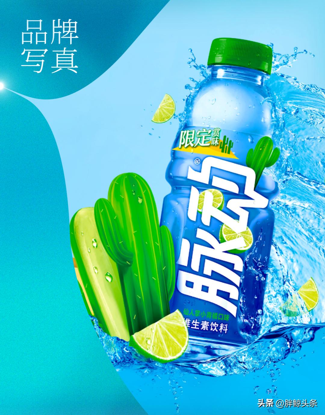 仙人掌味脉动讲解,仙人掌味的脉动原版