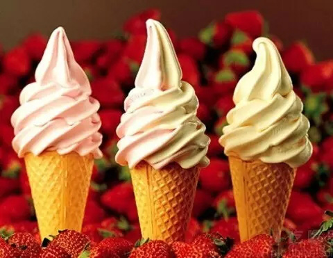 冰雪丽人冰淇淋机,冰雪丽人冰淇淋机都有哪些特点