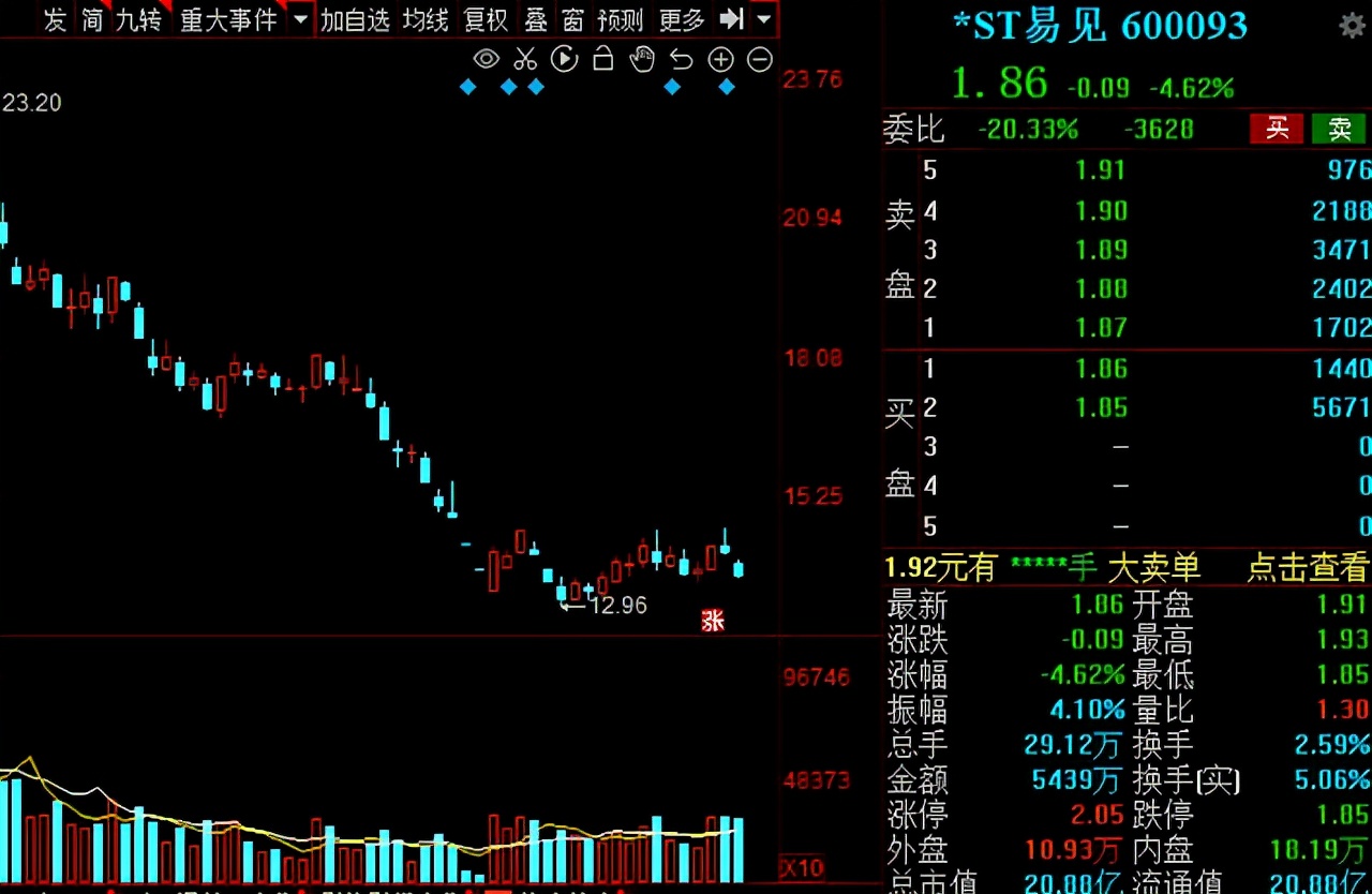 中国农民企业龙头股,中国股市大龙头