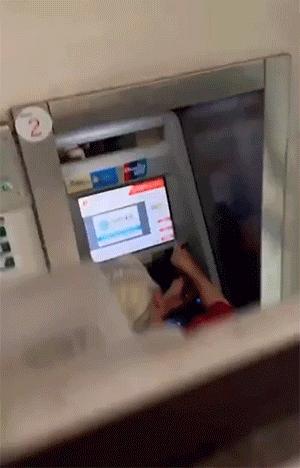 新手为什么不养鳄龟,养了一年的鳄龟怎么一点都不凶