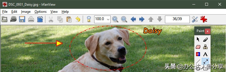 六款宝藏级软件,5款宝藏级办公软件