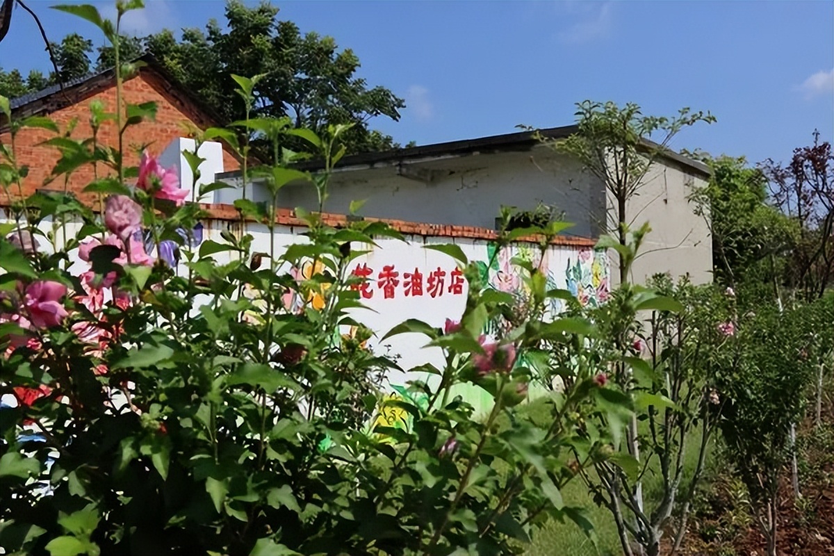 【美好生活看信阳】光山县斛山乡：擦亮红色文化发展绿色产业看“世外桃源”如何助推乡村振兴发展