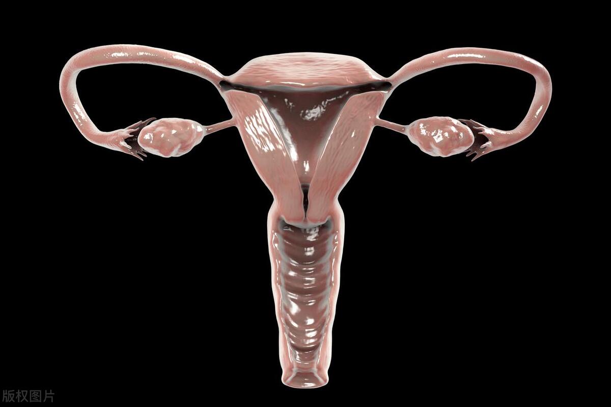 每天早上喝暖宫茶可以吗女生,宫寒喝什么茶暖宫效果好