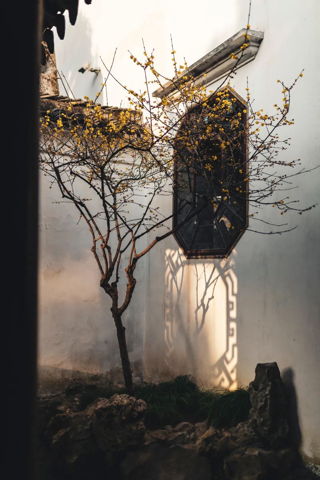 以城相见|苏州，最江南