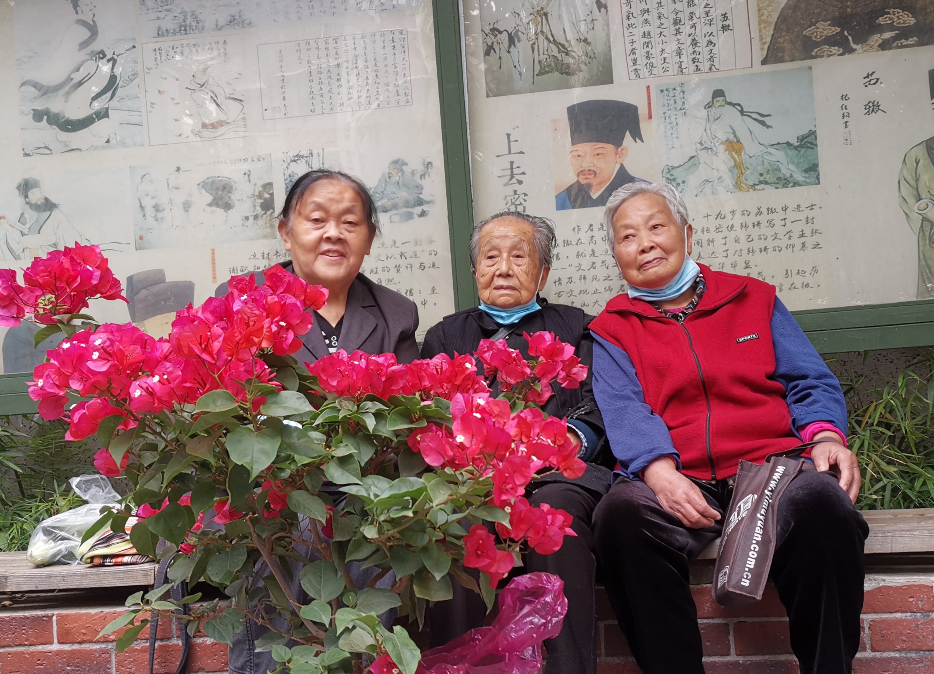 党员志愿服务队帮助孤寡残疾老人,青年党员关爱老人志愿服务活动