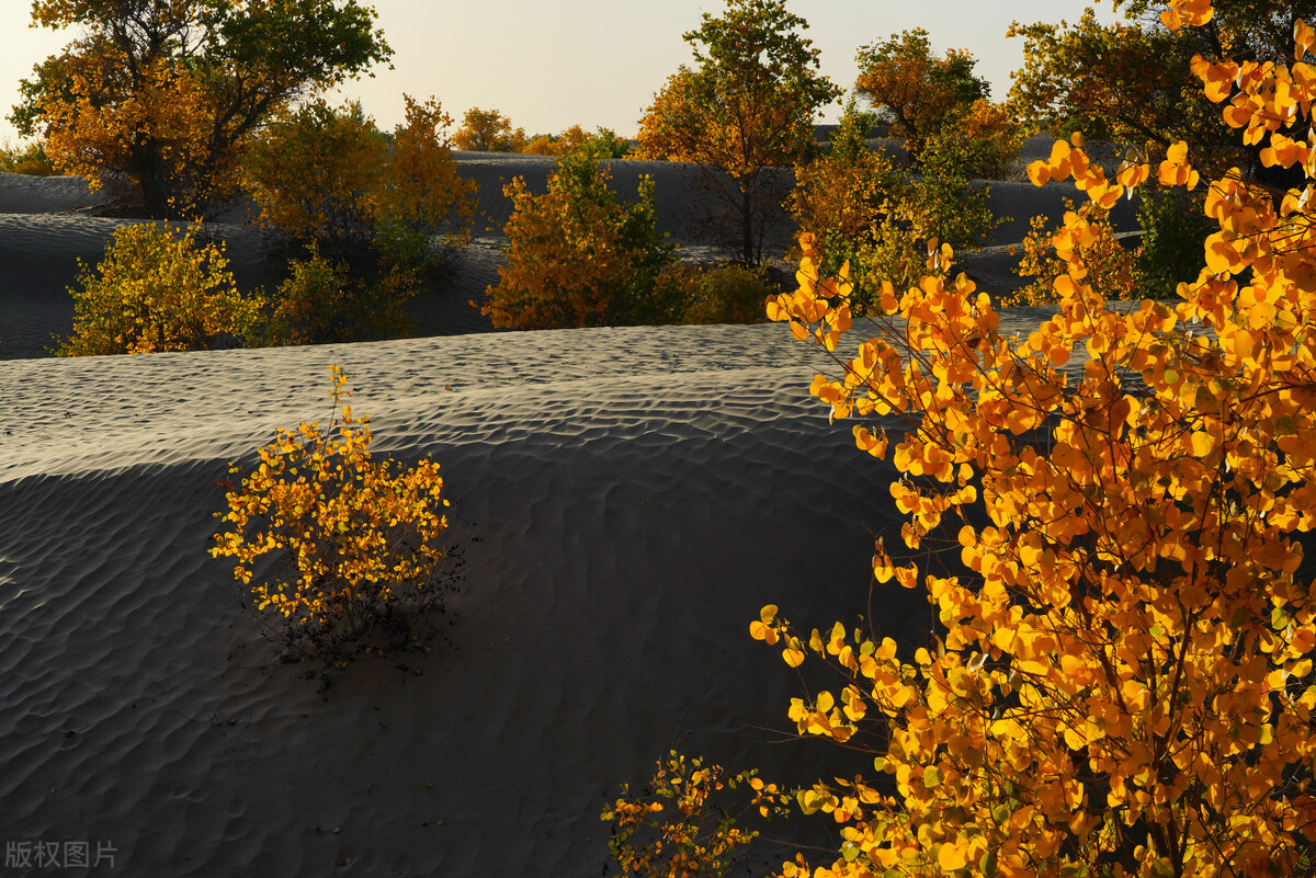 和田寻玉最佳地方,和田县寻玉