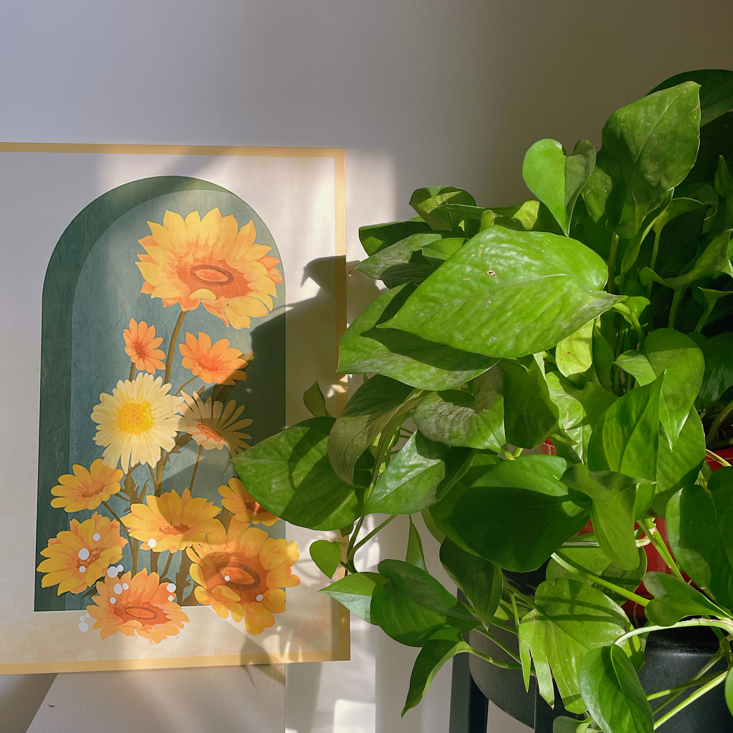 蕙心纨质的意思是什么,蕙心纨质的下一句