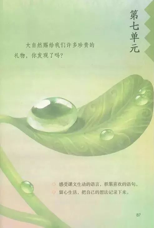 电子课本|人教部编版教材小学语文三年级（上册）课本-暑假预习