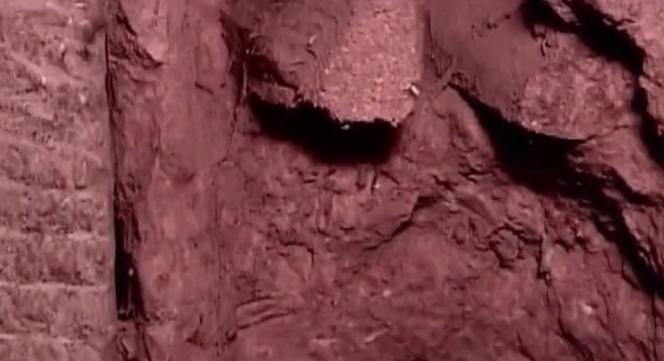 5岁男孩吃土,5岁男童吃土