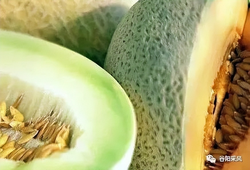 固镇美味香喷喷的小香瓜,话说固镇之722)