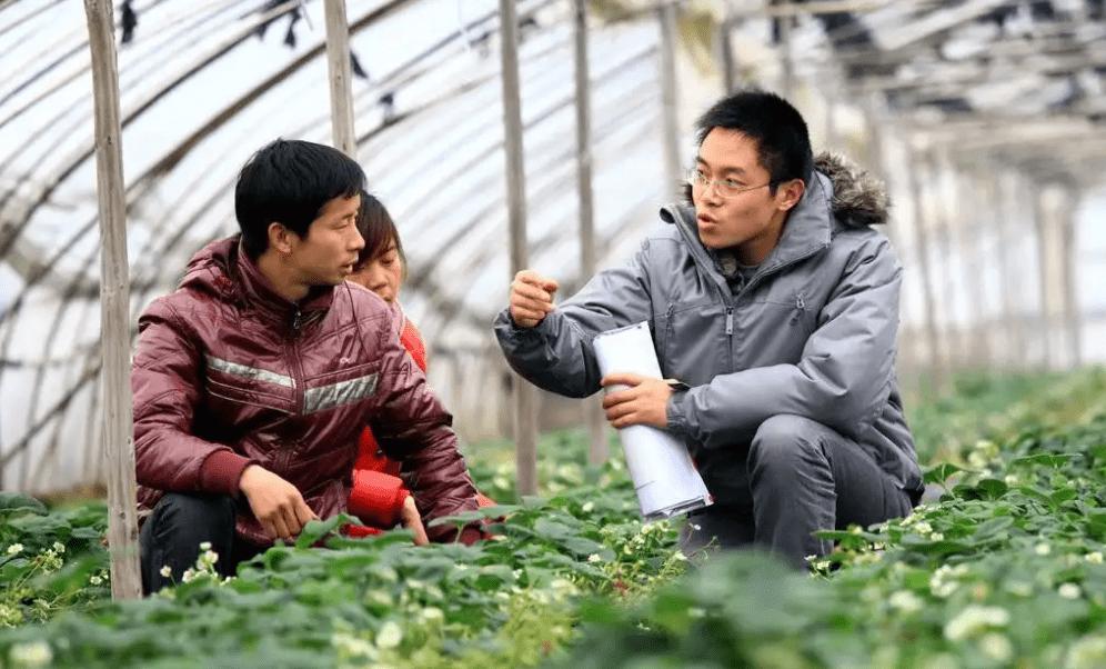 低分捡漏985大学值得吗,适合捡漏的六所985大学