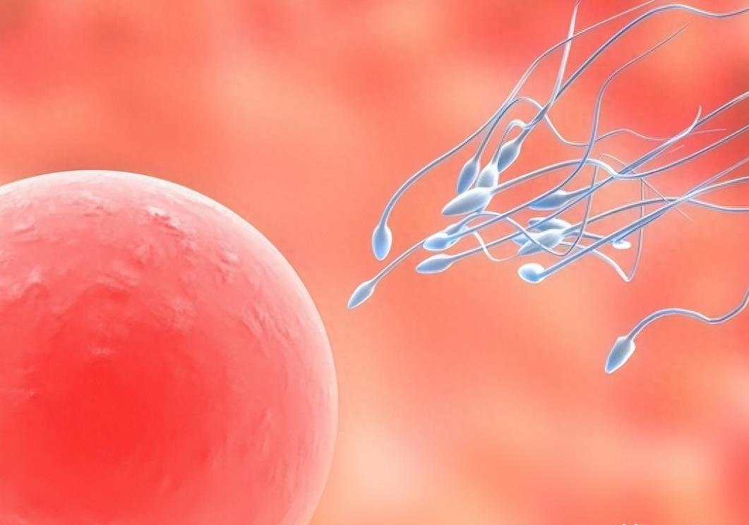 精子的生命力有多强大,精子的8大秘密