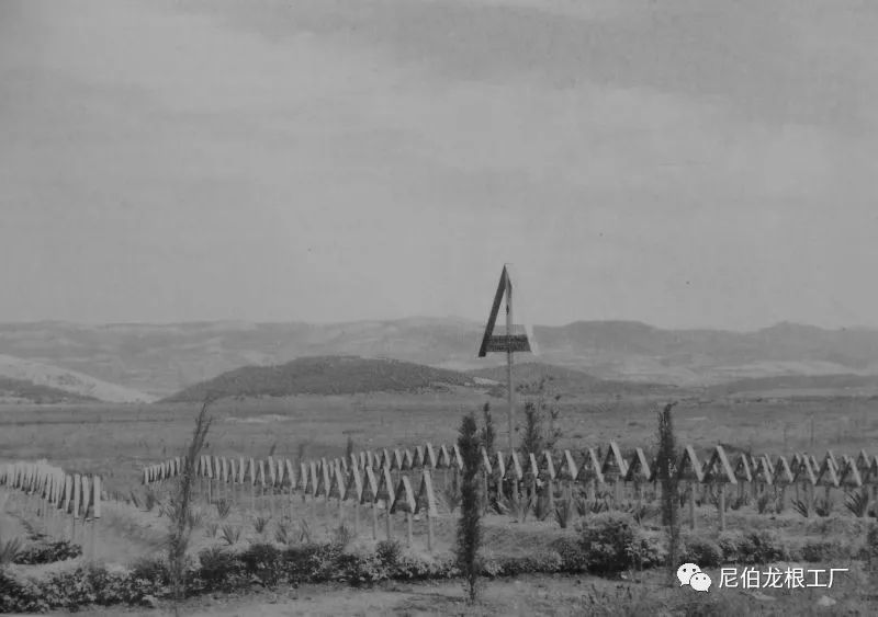 好收吾骨瘴江边全诗,好收吾骨瘴江边翻译