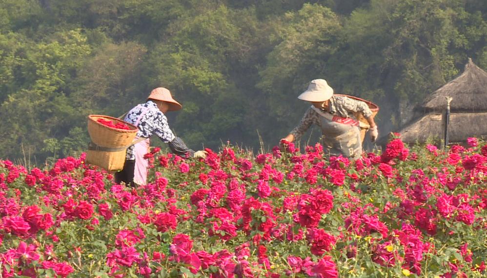 订单暴涨312%！中国产品攻占日本美国市场，背后有什么机会