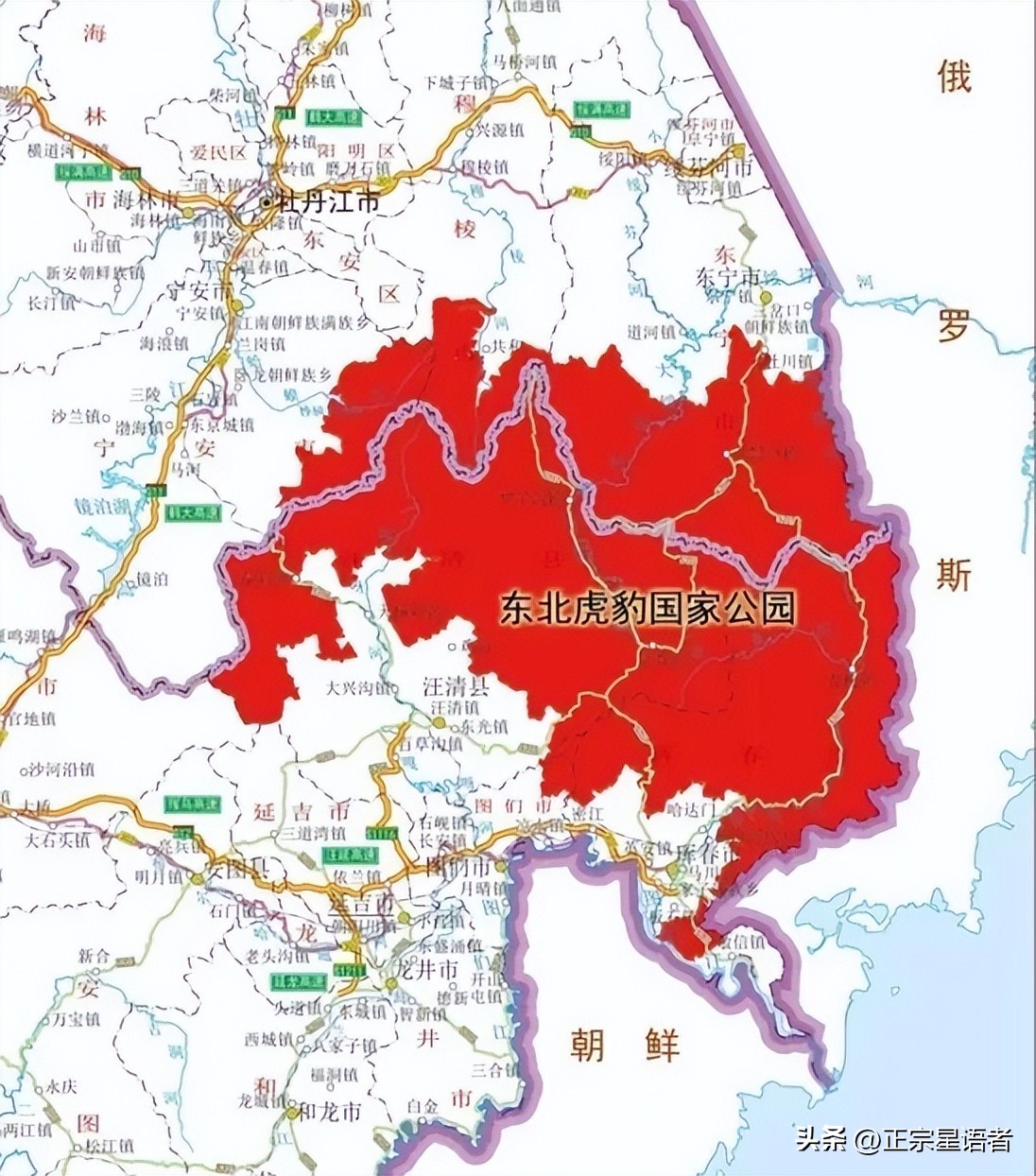 全球老虎数量增加,全球虎还剩多少