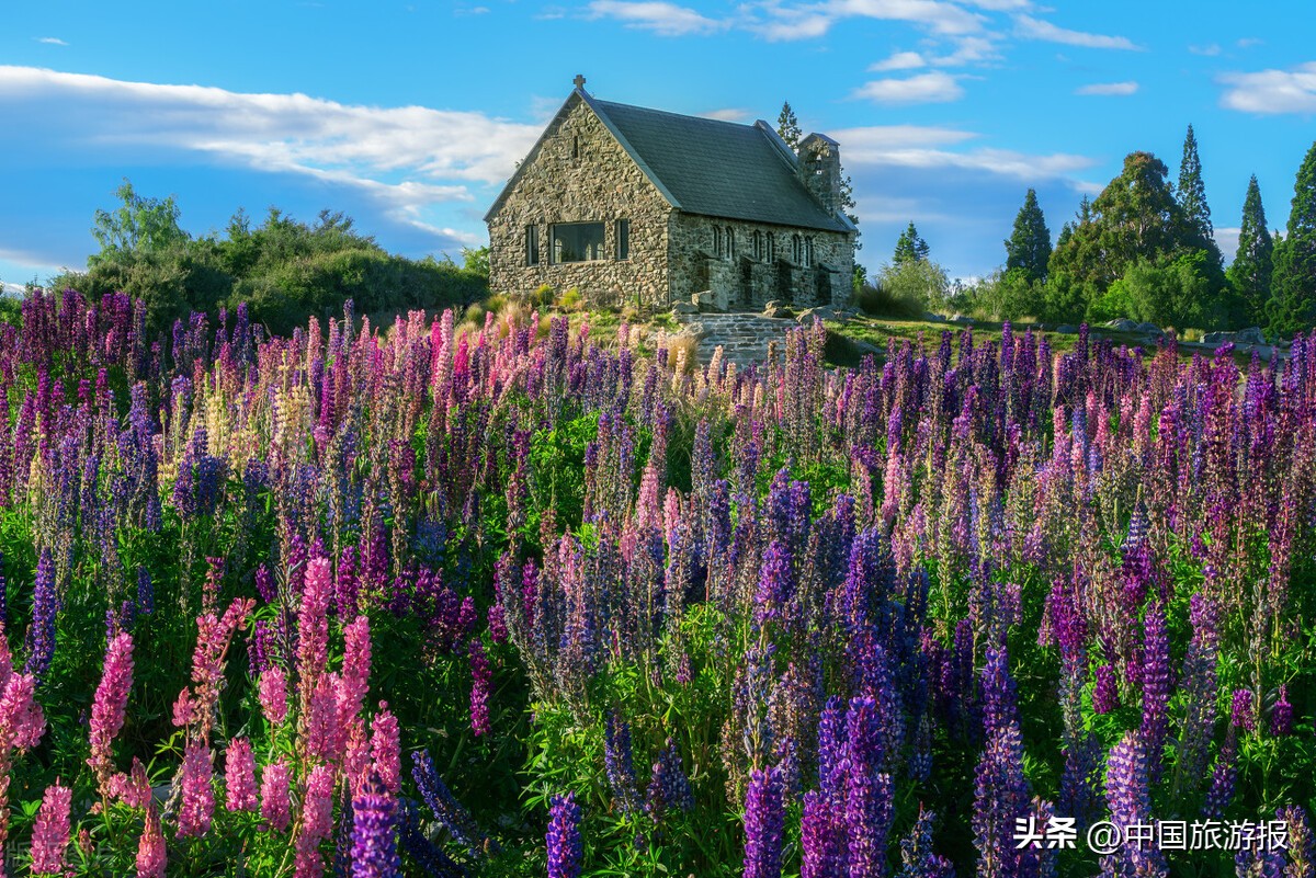 外交部提醒避免跨境旅行,中国驻多国使馆发布旅行安全提示
