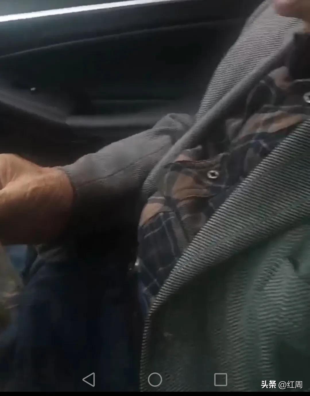 鹿茸片的最佳服用方法,鹿茸菇价格多少一斤