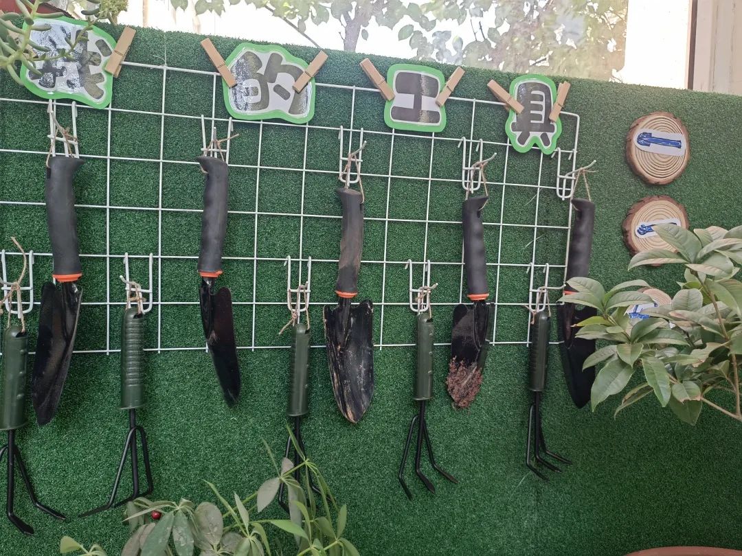 倾听儿童相伴成长主题墙幼儿园,倾听儿童相伴成长幼儿园小班视频