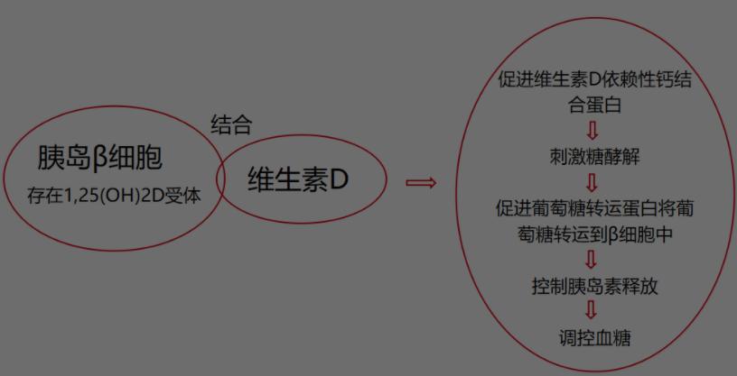糖尿病能通过饮食恢复正常吗,预防糖尿病饮食注意事项及禁忌