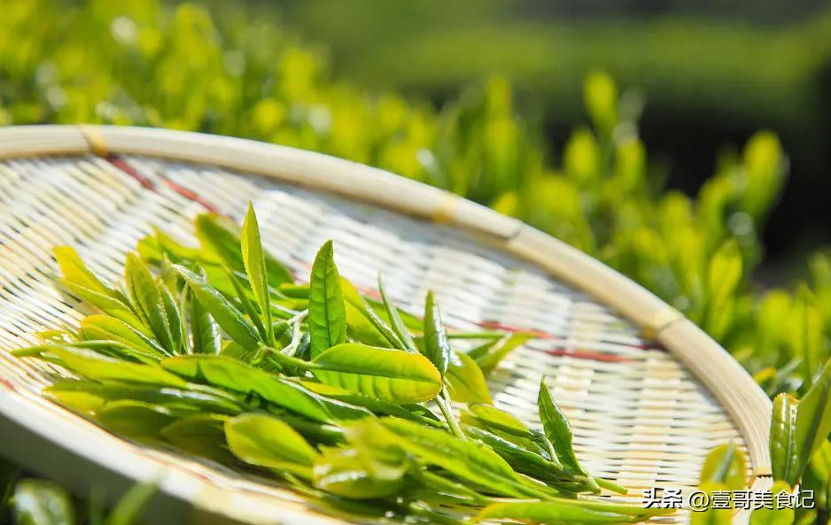 超市便宜又好喝的茶叶推荐一下,超市买的茶叶不好喝