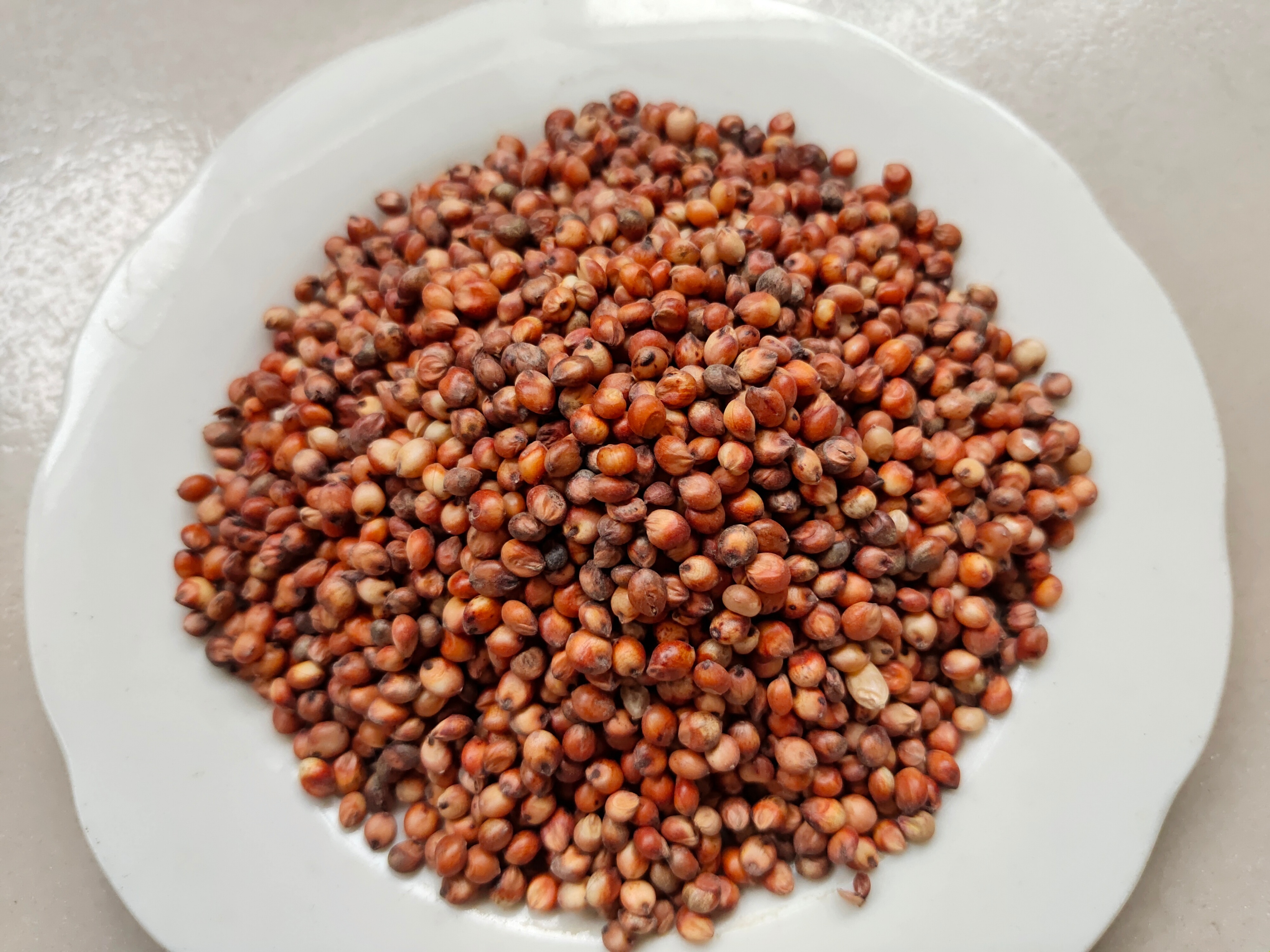 斑鸠的最佳配置,斑鸠鸟怎么喂食的