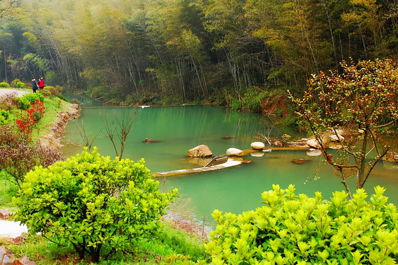南京春游推荐石塘竹海景区,南京石塘竹海怪坡