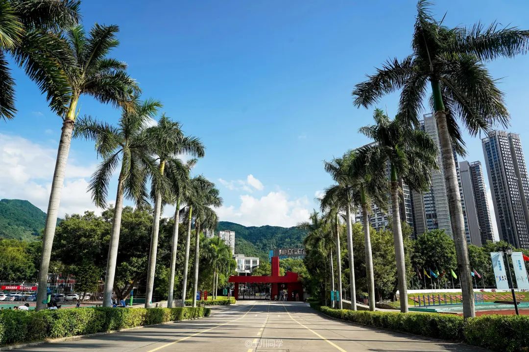 回忆石岩公学,石岩公学5年级