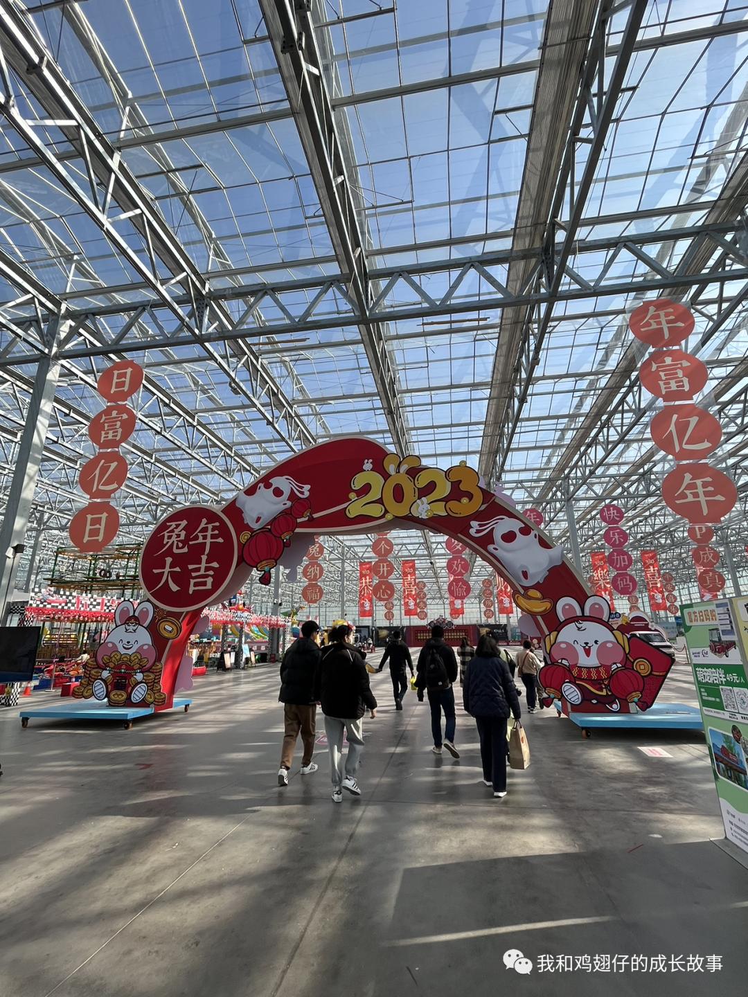 爱美丽推荐打卡第76|合肥必打卡|草坪+湖泊+游乐园+萌宠市集+花海