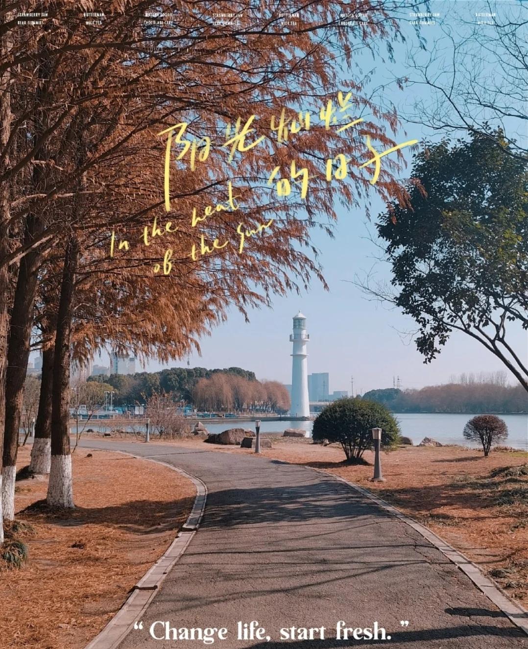 苏州西山岛打卡地灯塔,苏州五大绝美夜景打卡点