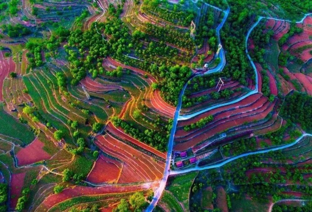 乡村规划休闲农业,鼓励利用四荒地发展休闲农业