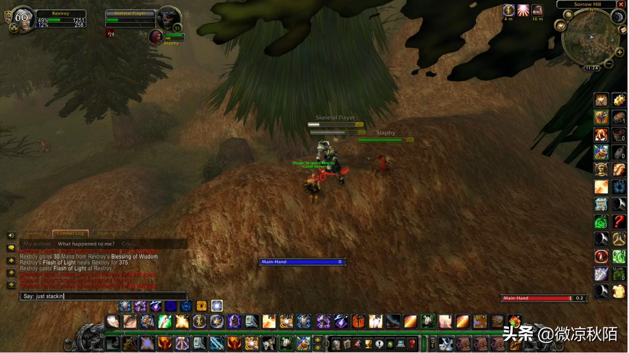 魔兽世界怀旧服后雨妖皇,魔兽世界怀旧服联盟清算骑士